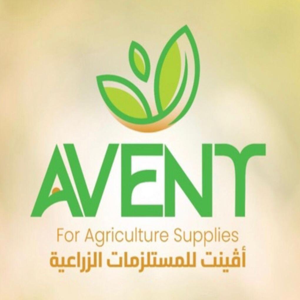 تسجيل الدخول إلى حسابك